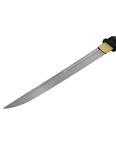 Katana Tactical Tanto Cas Hanwei par Paul Chen