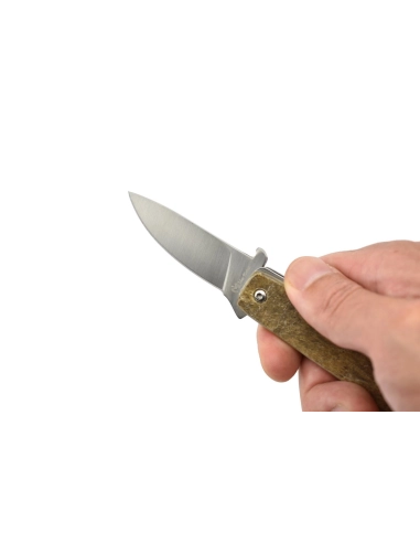 Max Knives P15 BE - Manche corne de bélier