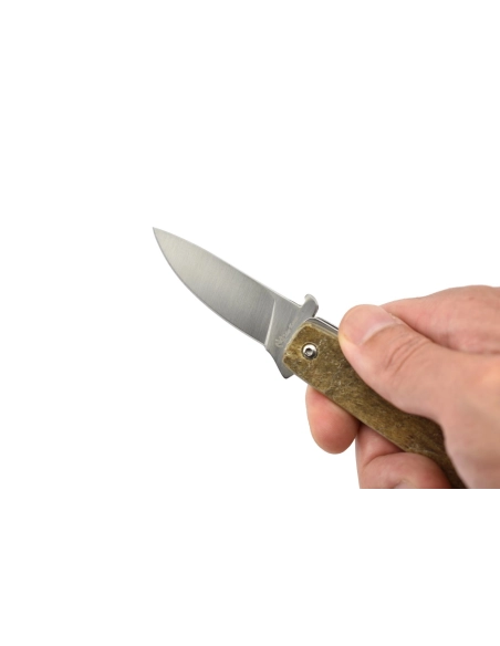 Max Knives P15 BE - Manche corne de bélier
