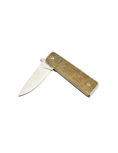 Max Knives P15 BE - Manche corne de bélier