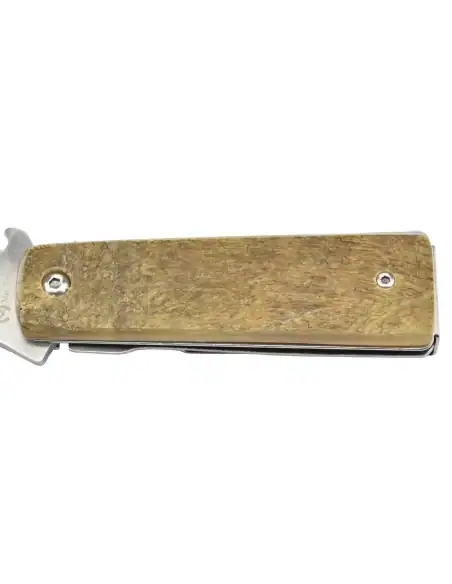 Max Knives P15 BE - Manche corne de bélier