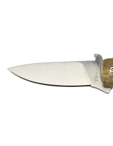 Max Knives P15 BE - Manche corne de bélier