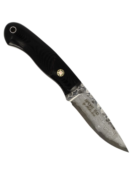 MCUSTA - MC231DB