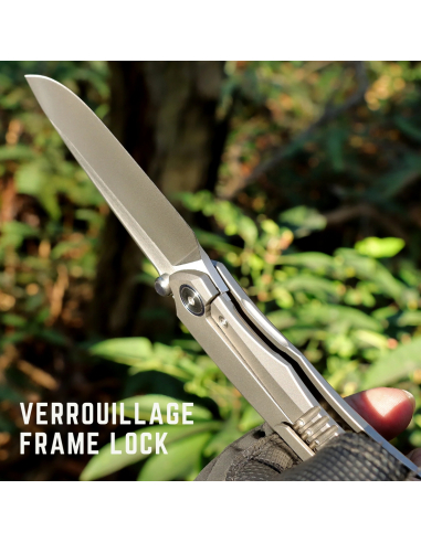 REMETTE KNIVES - WD108-G - Wild Species