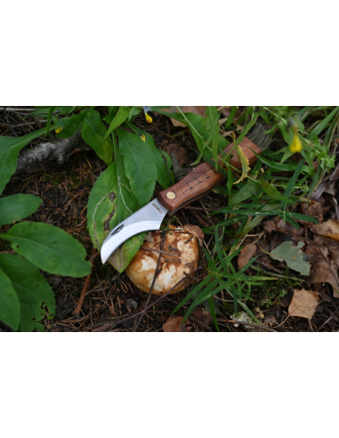 MAINKNIVES - 7000 - MUSHROOM KNIFE