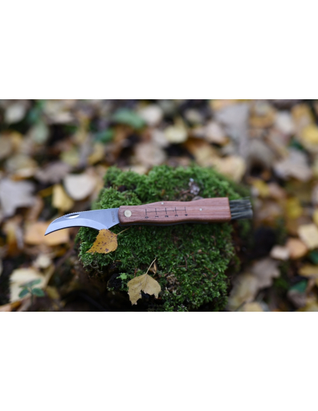 MAINKNIVES - 7000 - MUSHROOM KNIFE