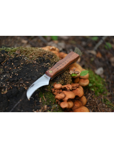 MAINKNIVES - 7000 - MUSHROOM KNIFE