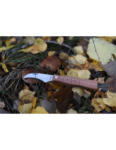 MAINKNIVES - 7000 - MUSHROOM KNIFE
