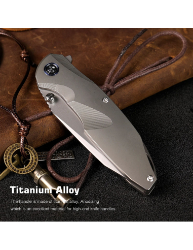 REMETTE KNIVES - RTCL-T2 - RT-Cool Whale Knife