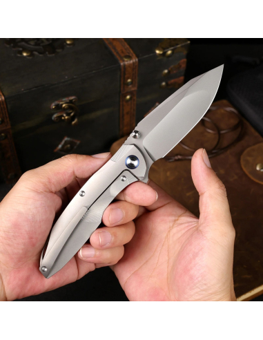 REMETTE KNIVES - RTCL-T1 - RT-Cool Whale Knife