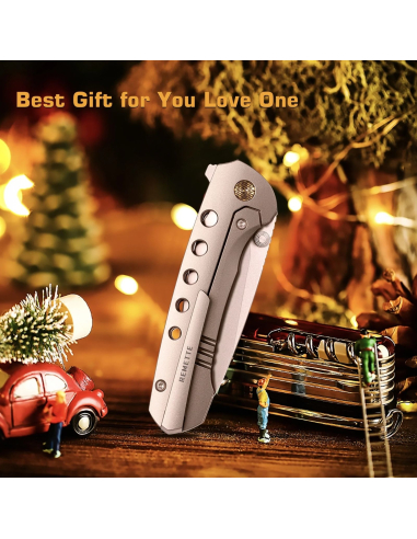 REMETTE KNIVES - RTBEE-T