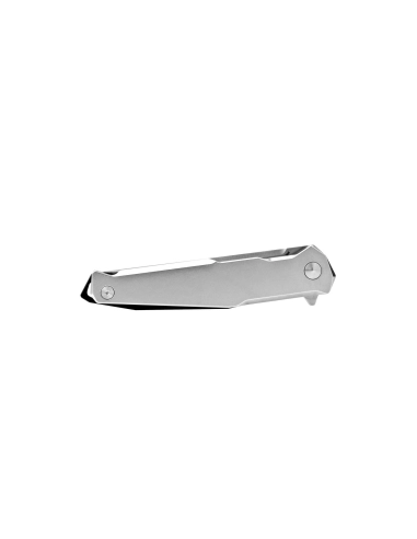 Ruike P108SF - Couteau 210mm