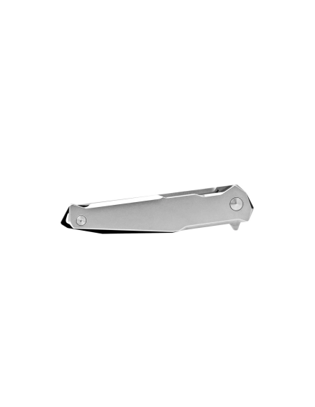 Ruike P108SF - Couteau 210mm