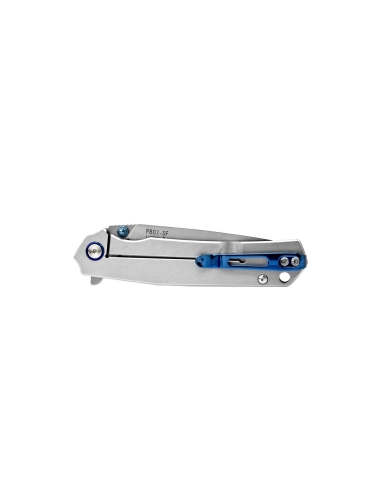 Ruike P801-SF - Couteau 200mm