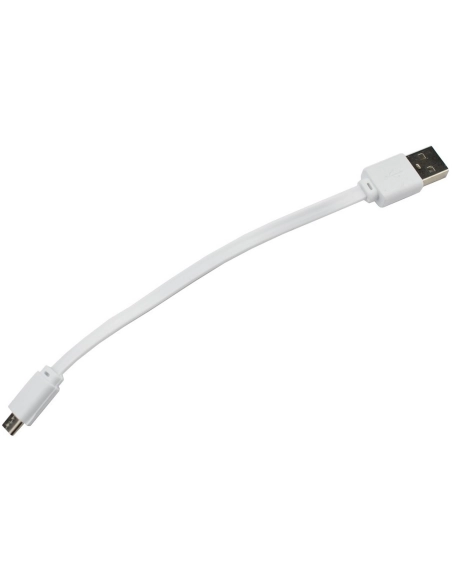 CASD - Câble Micro-USB