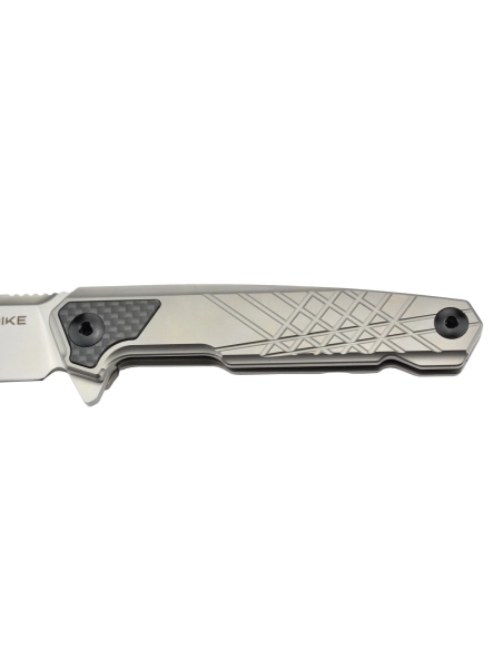 Ruike M875-TZ Couteau pliant lame acier N690 manche titane