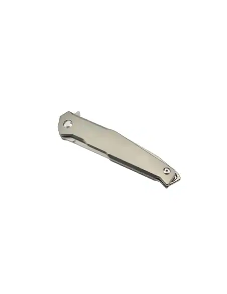 Ruike M108-TZ Couteau pliant lame acier 154CM manche titane TC4