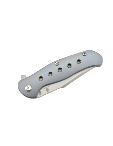 Kizer Ki4495 couteau pliant